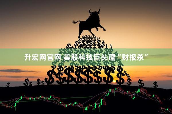 升宏网官网 美股科技巨头遭“财报杀”